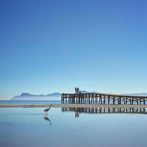 two people on a pier with a bird in the water at Venecia Apartments in Port d'Alcudia