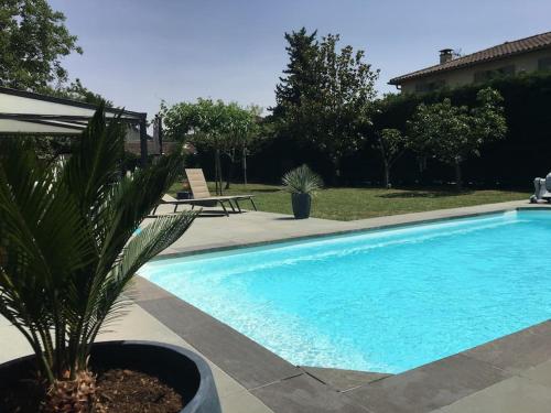- une piscine avec un palmier dans la cour dans l'établissement villa Lyon Collonges au mont d'or: Piscine/Bocuse, à Collonges-au-Mont-dʼOr