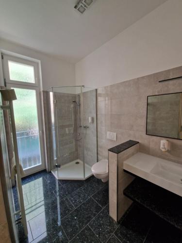 een badkamer met een douche, een toilet en een wastafel bij Pension Villa Anna in Bad Schandau