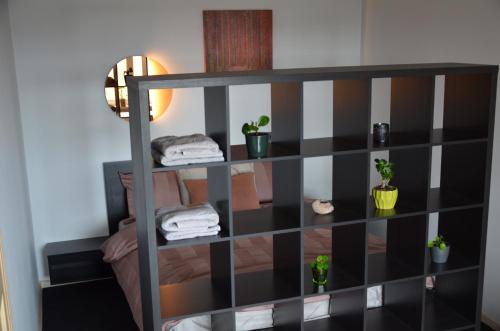 a shelf with towels and potted plants in a room at Panorama Suite Jelgava in Jelgava