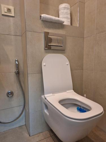 a bathroom with a white toilet and a shower at RIVIJERA CITY in Belgrade
