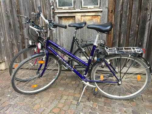 una bicicleta azul estacionada junto a una valla de madera en Idylle II an der Donau, en Pentling