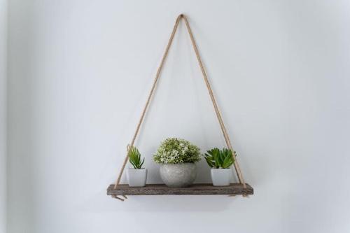 a shelf with three plants on a white wall at Open Mind Property - Luxury House & Free Parking in Portsmouth