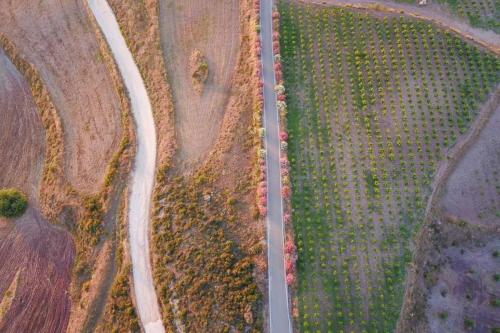 an aerial view of a road in a field at Villa Angelena in Droushia