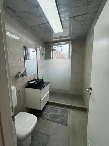 a bathroom with a toilet and a sink and a mirror at Deluxe Apartment in Bonn
