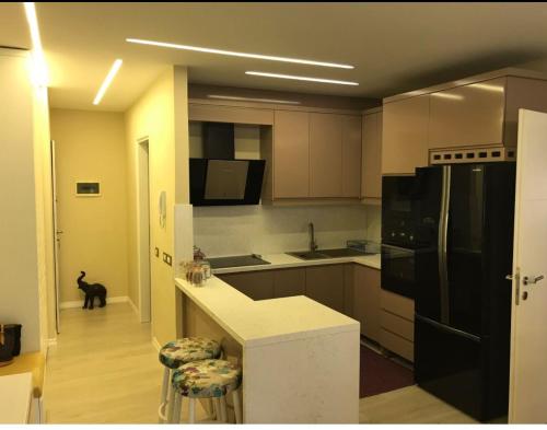 uma cozinha com um frigorífico preto e um cão preto em Arbana’s em Tirana