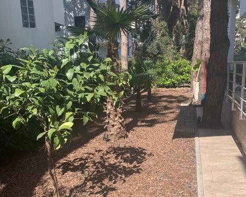 a garden with trees and plants in a yard at Villa Dyrrahu in Golem