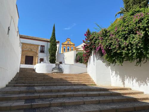 SUITES DEL MAR y SUITE DE CÓRDOBA - Apartmentos en pleno centro