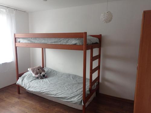 a bunk bed with a teddy bear on the bottom bunk at Apartament Sol in Radom