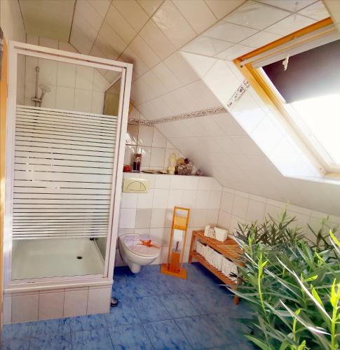 a bathroom with a toilet and a bath tub at Rügenblick in Lubmin