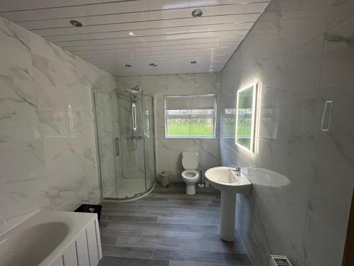 a bathroom with a sink and a shower and a toilet at Mac's Cottage in Clogher