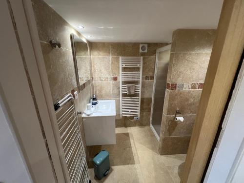 a bathroom with a sink and a shower at Le Relais des Chevaliers "Gîte" in Cordes-sur-Ciel