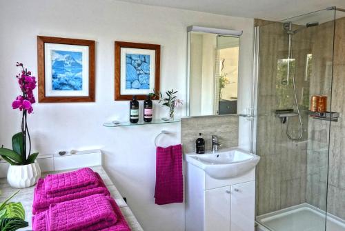 a bathroom with pink towels and a sink and a shower at Rye Treat in Rye
