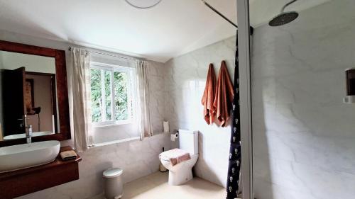 a bathroom with a shower and a toilet and a sink at My Paradise in Baie Lazare Mahé