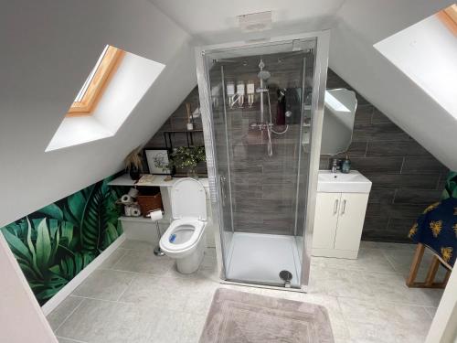 uma casa de banho com um chuveiro e um WC. em Roseberry Loft em Nunthorpe