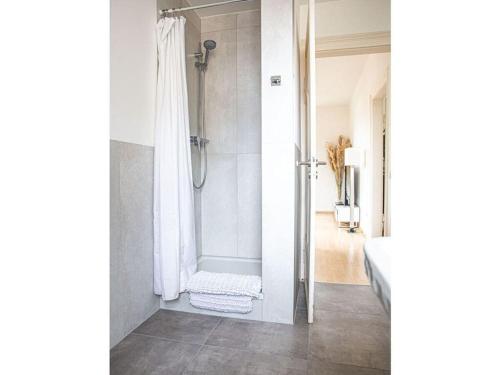 a bathroom with a shower with a shower curtain at Spitzhausblick in Haus Felix in Radebeul