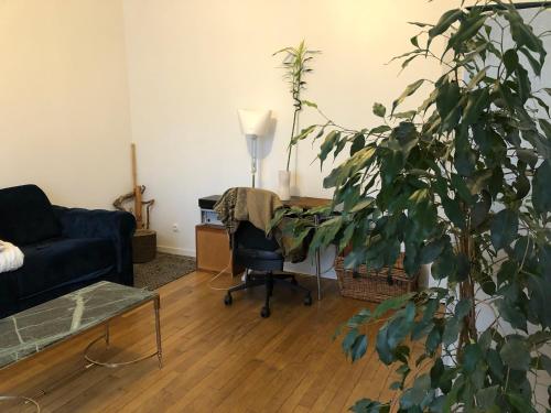 a living room with a couch and a plant at Studio Villejuif centre in Villejuif