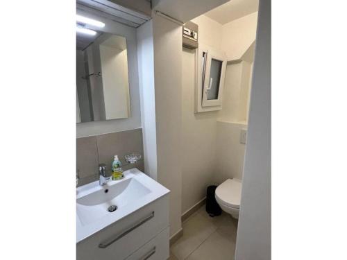 ein Badezimmer mit einem weißen Waschbecken und einem WC in der Unterkunft La Vigneronne, Lake view in Arlesheim
