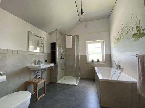 uma casa de banho com um lavatório, um chuveiro e um WC. em Haus Mariechen Modern retreat em Frielendorf