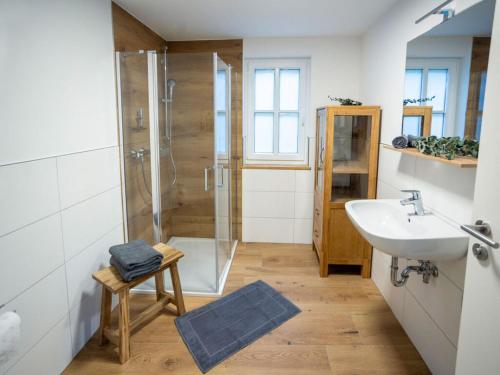 a bathroom with a shower and a sink at Concordia33 Modern retreat in Bamberg