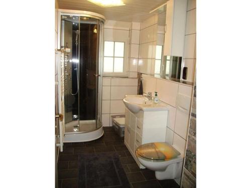ein Bad mit einem WC, einem Waschbecken und einer Dusche in der Unterkunft Haus Hiller Modern retreat in Brandenberg