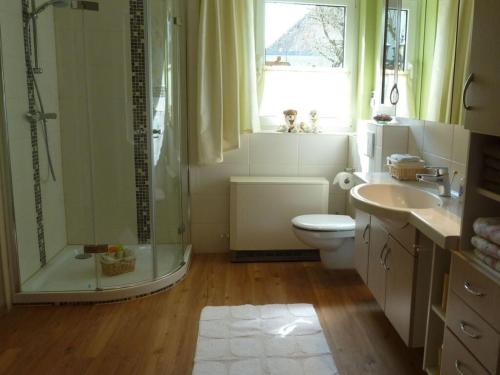 y baño con ducha, aseo y lavamanos. en Am Rosengarten Modern retreat, en Sontra