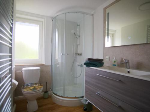 een badkamer met een douche, een toilet en een wastafel bij Classy apartment in Bad Sachsa in Bad Sachsa