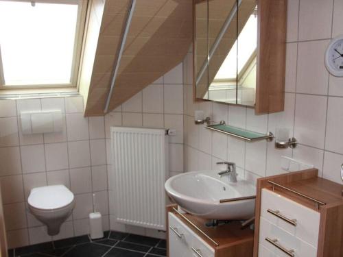 a bathroom with a sink and a toilet and a mirror at GoWatt on the North Sea in Friedrichskoog