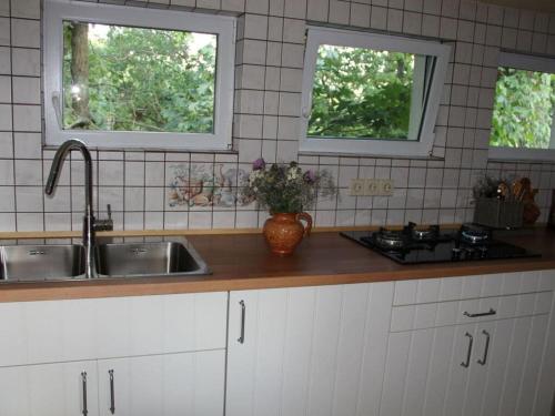 un bancone della cucina con lavandino e due finestre di by the forest Modern retreat a Tharandt