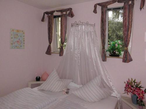 - une chambre avec un lit et une moustiquaire dans l'établissement 2 Norit Schlosser, à Heidenau