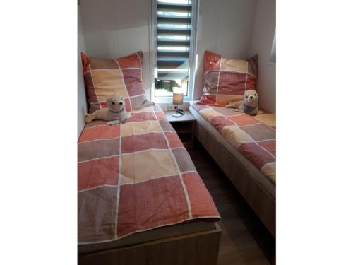 dos perros sentados en las camas en un dormitorio en Chrissi's Baltic Sea nest, en Scharbeutz