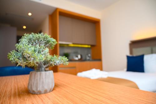 a plant sitting on top of a wooden table at New Wave Apart-Hotel in Batumi