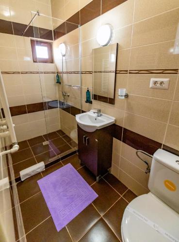 a bathroom with a sink and a toilet and a mirror at Casa Amelie Mangalia in Mangalia