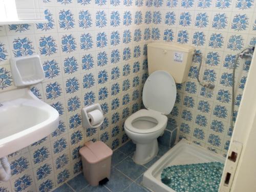 a bathroom with a toilet and a sink at Valasis Studios in Argasi