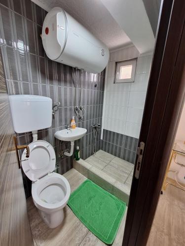 a small bathroom with a toilet and a shower at Apartment Buklija in Pluzine