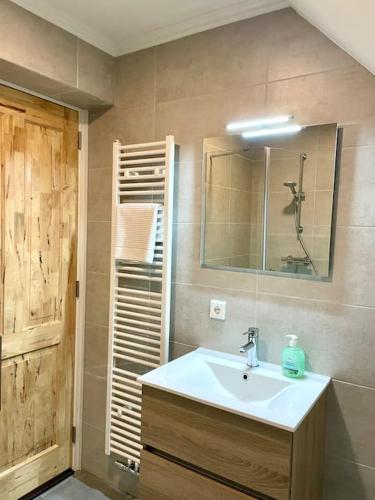 a bathroom with a sink and a mirror at Appartement Sneek in Sneek