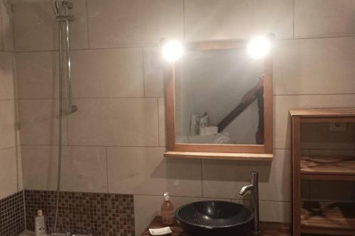 une salle de bain avec un lavabo, une douche et un miroir dans l'établissement Chez Titi, à Mulhouse