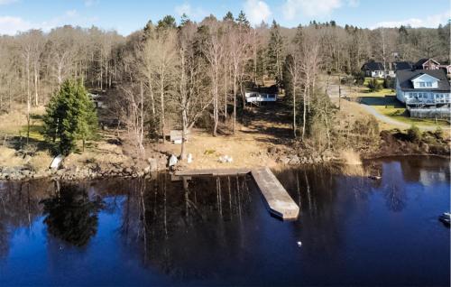 an aerial view of a lake with a dock at 2 Bedroom Lovely Home In Alingsås in Alingsås