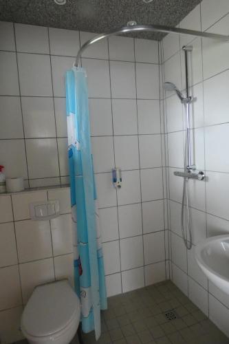 een badkamer met een toilet, een douche en een wastafel bij Radlerzimmer (Zweibettzimmer) in Strasen