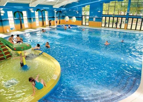 a group of people in a swimming pool at 24 Shark Island in Great Billing