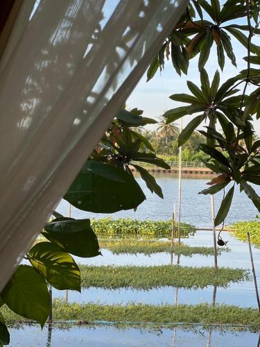 a view of a body of water with palm trees at MrT Riverside Sampran มิสเตอร์ที โฮมสเตย์-ริมนที in Sam Phran