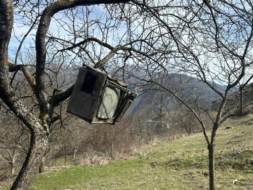 a tv hanging from a tree in a tree at Hovk Farms in Dilijan