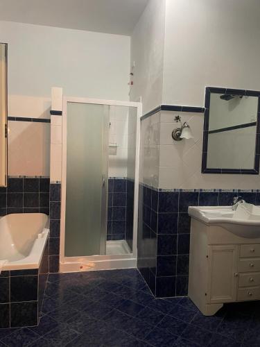 a bathroom with a shower and a sink at La Casetta di Mary sulla Via dei Tusci in Castiglione in Teverina