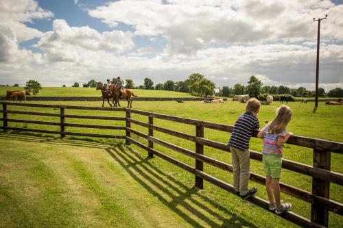 Gallery image of Cahergal Farmhouse B&B in Newmarket on Fergus