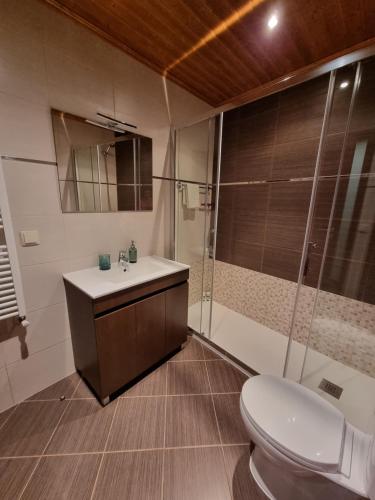 a bathroom with a toilet and a sink and a shower at Quinta da Canda in Cerva