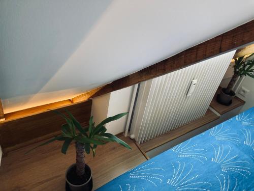 a room with a potted plant and a radiator at Strasbourg quartier de l’orangerie in Strasbourg