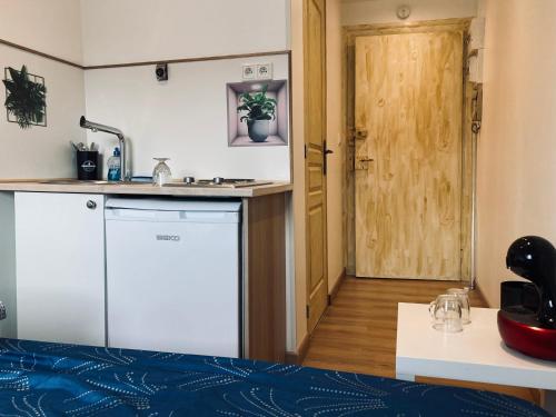 uma cozinha com um frigorífico branco e uma porta em Strasbourg quartier de l’orangerie em Estrasburgo