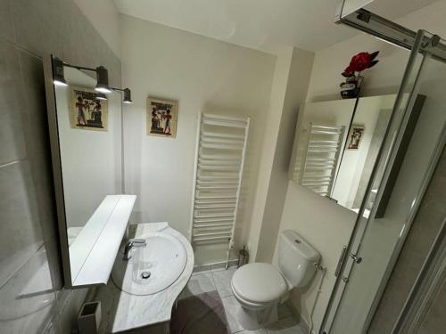 a bathroom with a toilet and a sink and a mirror at La petite Maison chaleureuse in Jouars-Pontchartrain