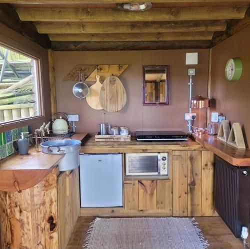 a kitchen with wooden cabinets and a counter with a microwave at The Summerhouse in Llandegla