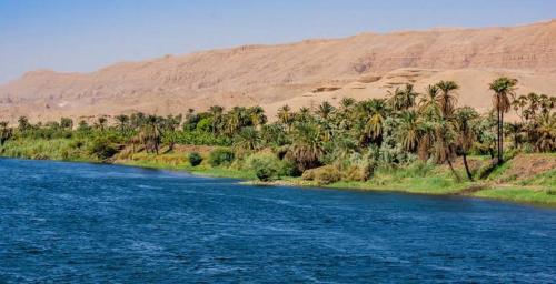 un río en medio de un desierto con palmeras en Luxor west bank, en Luxor
